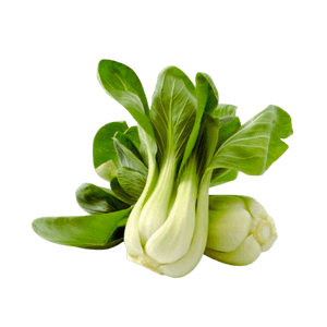 Bok Choy