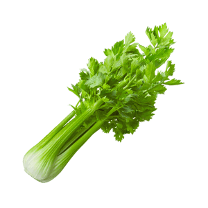 Chinese Celery