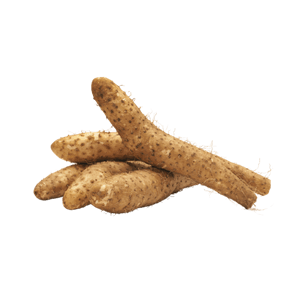 Chinese Yam