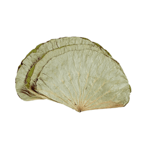 Dried Lotus Leaves