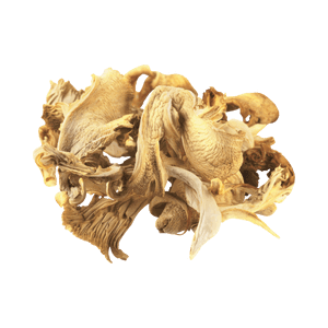 Dried Oyster Mushrooms