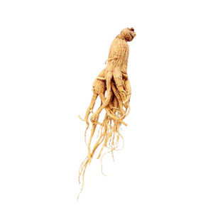 Ginseng