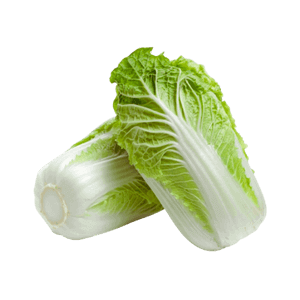 Napa Cabbage