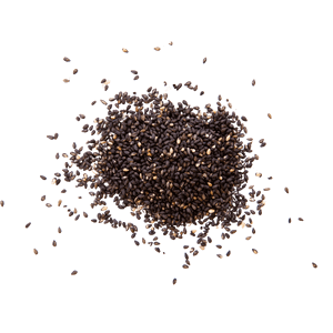 Sesame Seeds