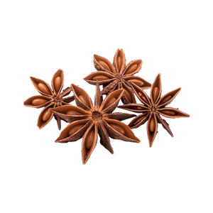 Star Anise